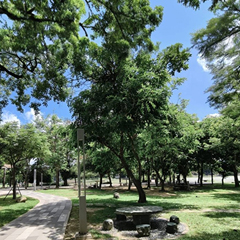 Image nthu-sh-2.jpg